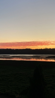Venta-de-Departamento-en-Valdivia-Isla-Teja